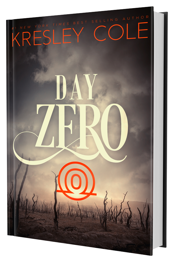 Day Zero book cover